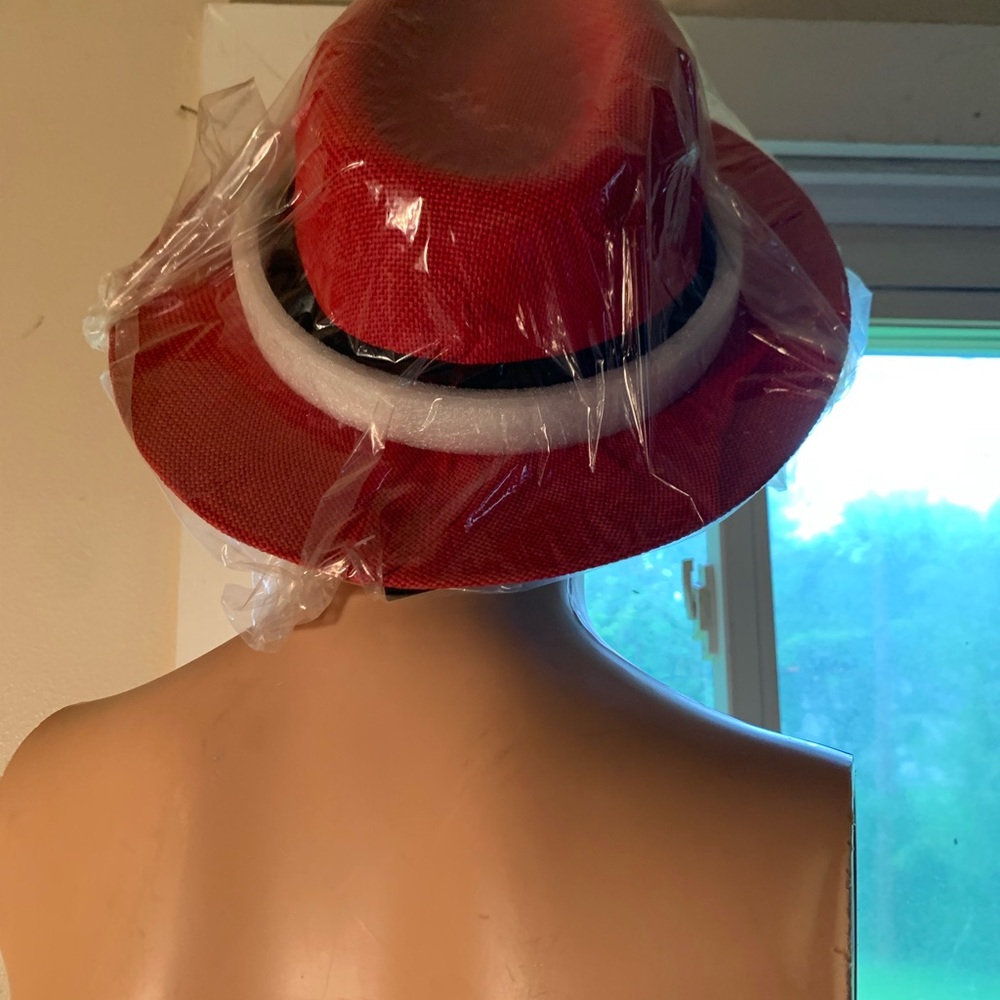 Hat - Picture 9 of 10